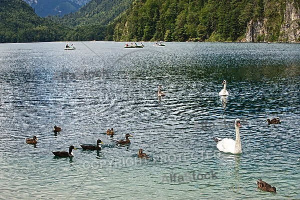 Hohenschwangau, Neuschwanstein, Bavaria, Germany