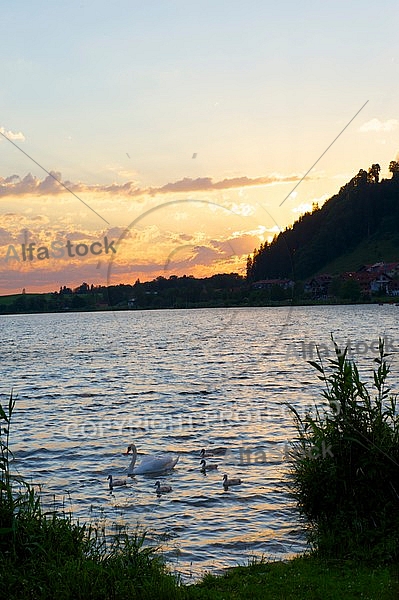 Hopfen am See, Hopfensee, Bavaria, Germany