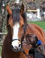 Horse and girl 