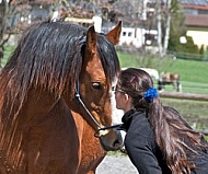 Horse and girl 