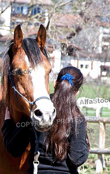 Horse and girl 