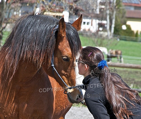 Horse and girl 