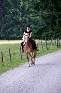 Horse and girl