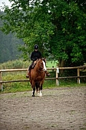 Horse and girl