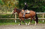 Horse and girl