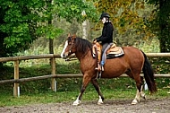 Horse and girl