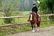 Horse and girl