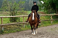 Horse and girl