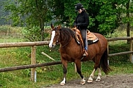 Horse and girl