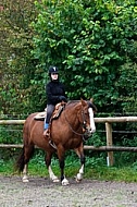 Horse and girl