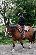 Horse and girl