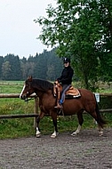 Horse and girl