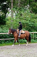 Horse and girl