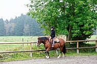 Horse and girl