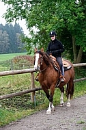 Horse and girl