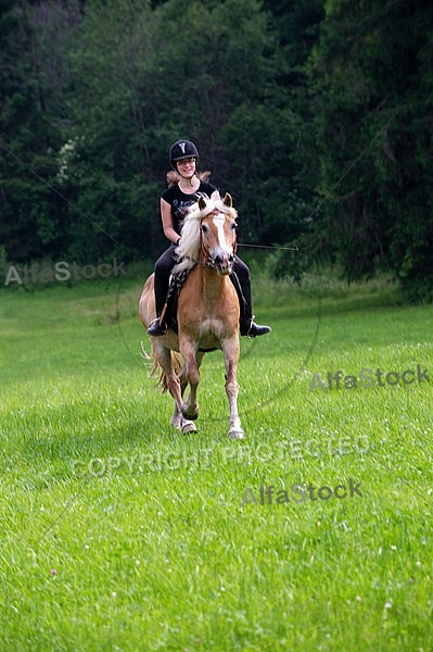 Horse and girl