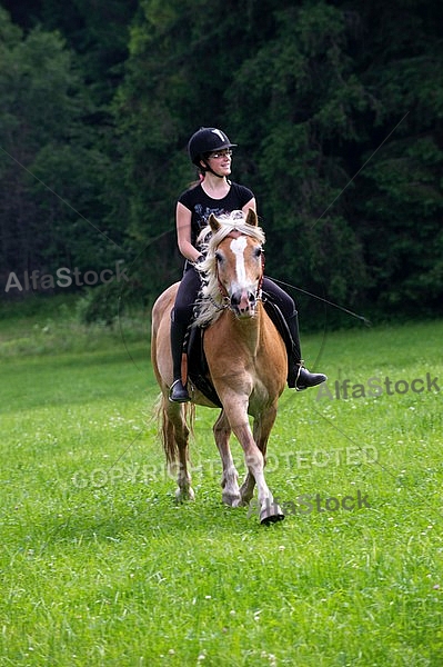 Horse and girl