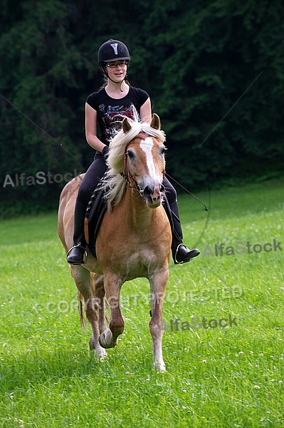 Horse and girl