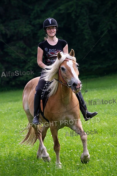 Horse and girl