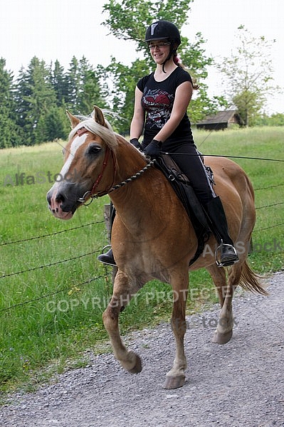 Horse and girl