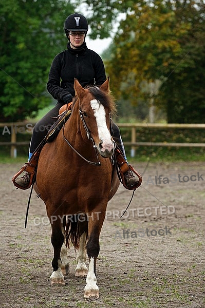 Horse and girl