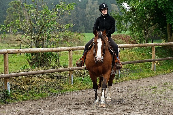 Horse and girl