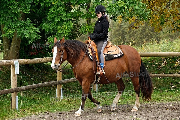 Horse and girl