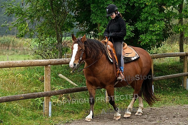 Horse and girl