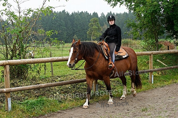 Horse and girl