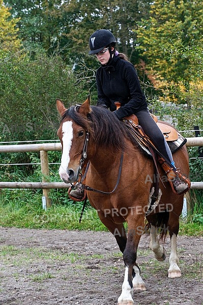 Horse and girl