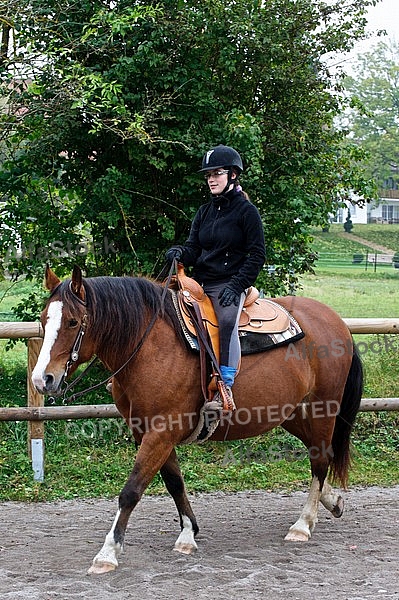 Horse and girl