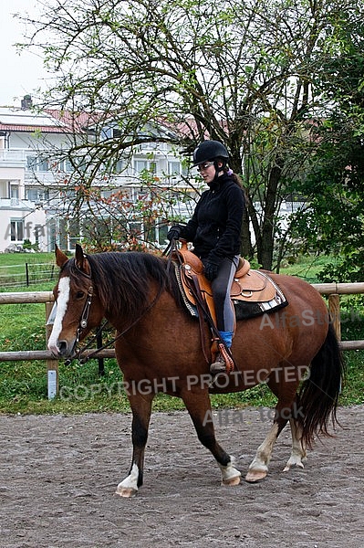 Horse and girl