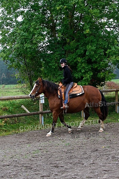 Horse and girl