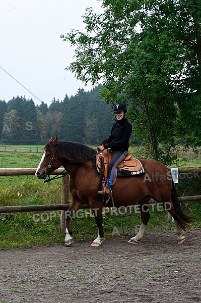 Horse and girl