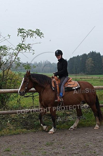 Horse and girl