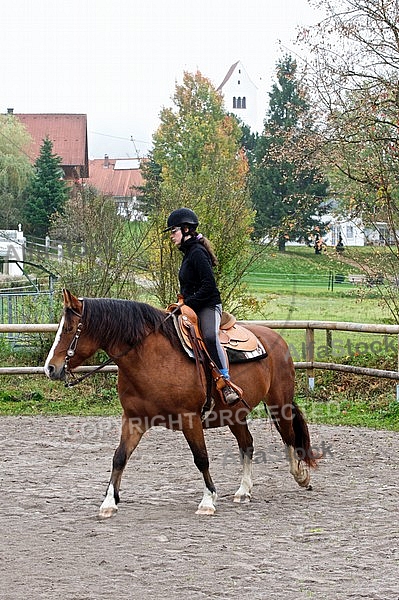 Horse and girl