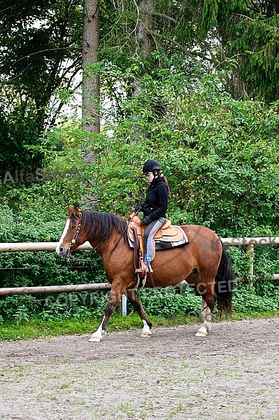 Horse and girl