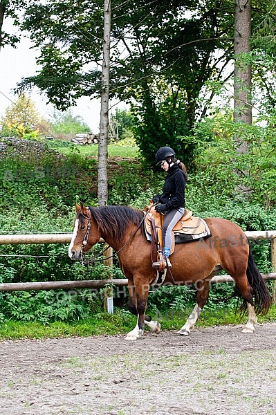 Horse and girl