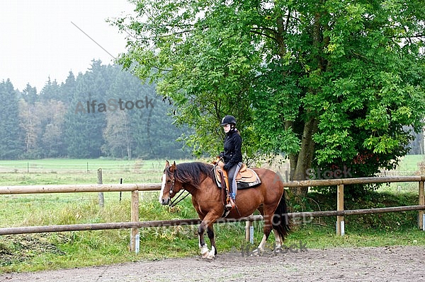 Horse and girl