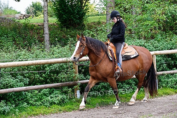 Horse and girl