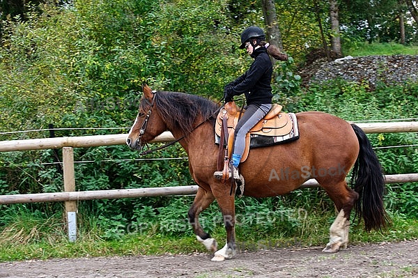 Horse and girl