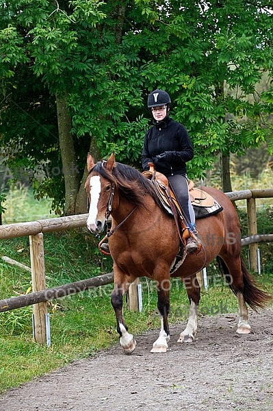 Horse and girl