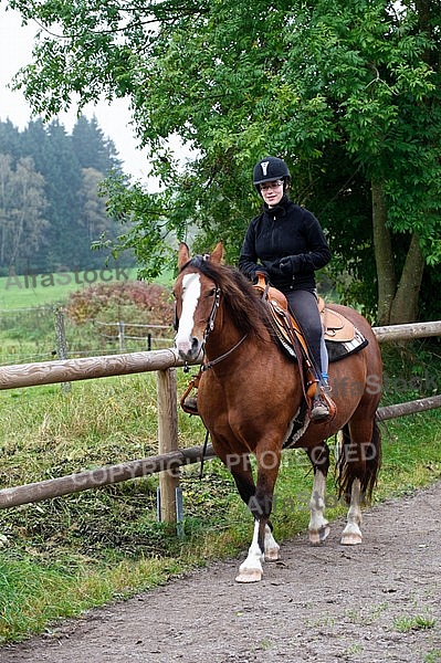 Horse and girl