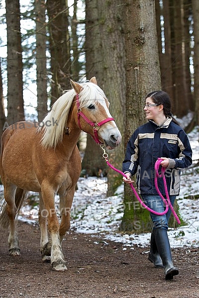Horse and girl walking in the forest