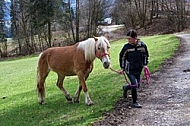 Horse and girl walking