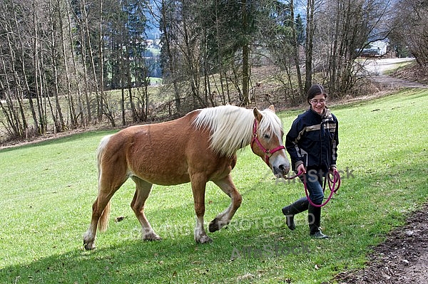 Horse and girl walking