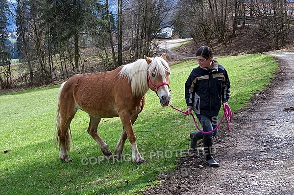 Horse and girl walking