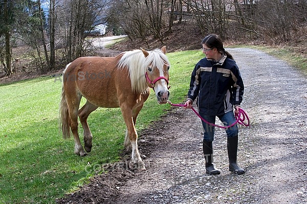 Horse and girl walking