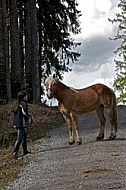 Horse in the forest with a girl