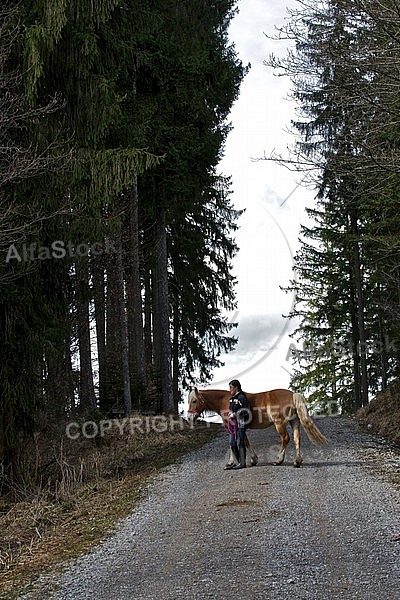 Horse in the forest with a girl